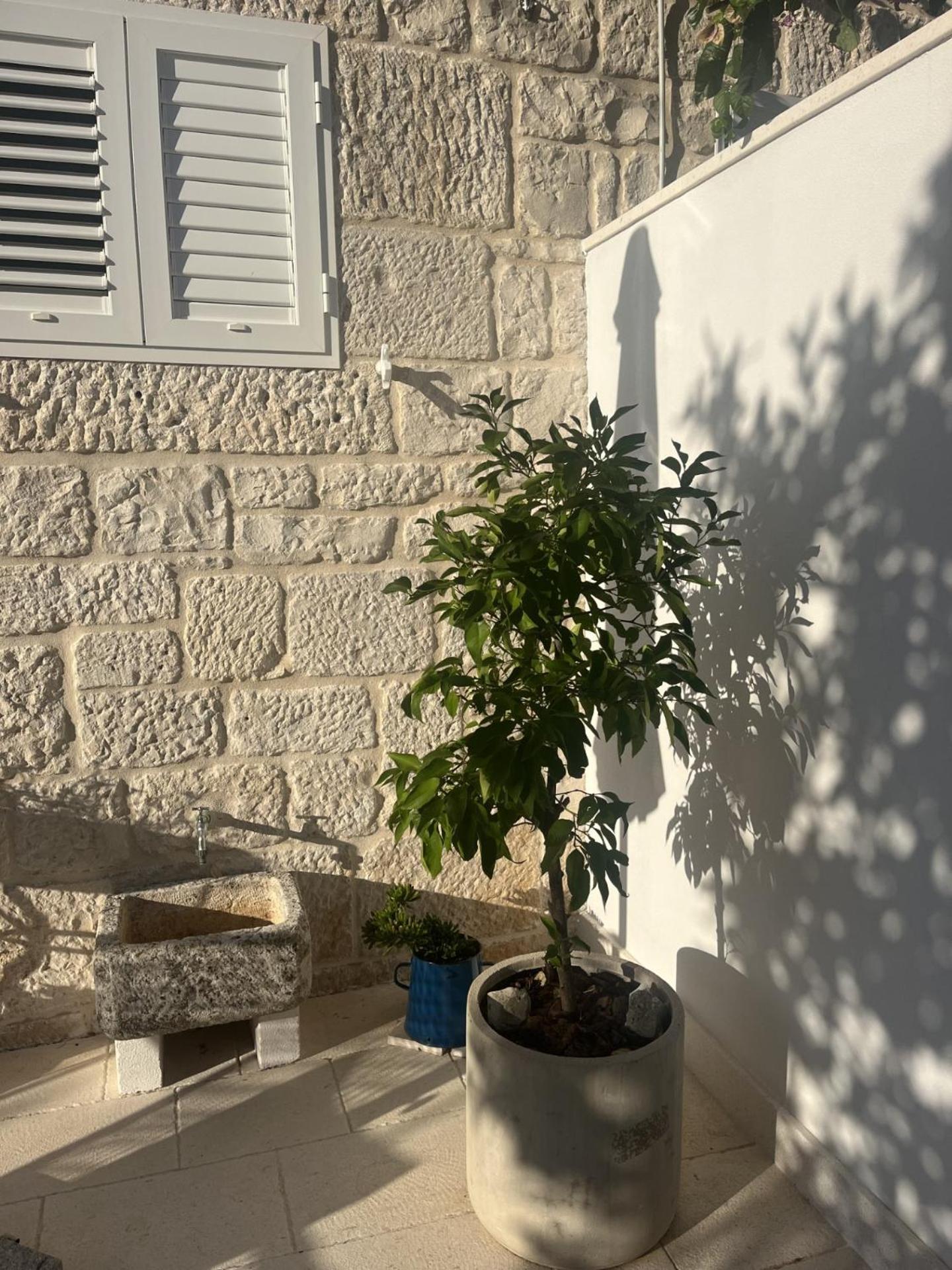 Apartment On The Sunny Side Korčula Exteriér fotografie